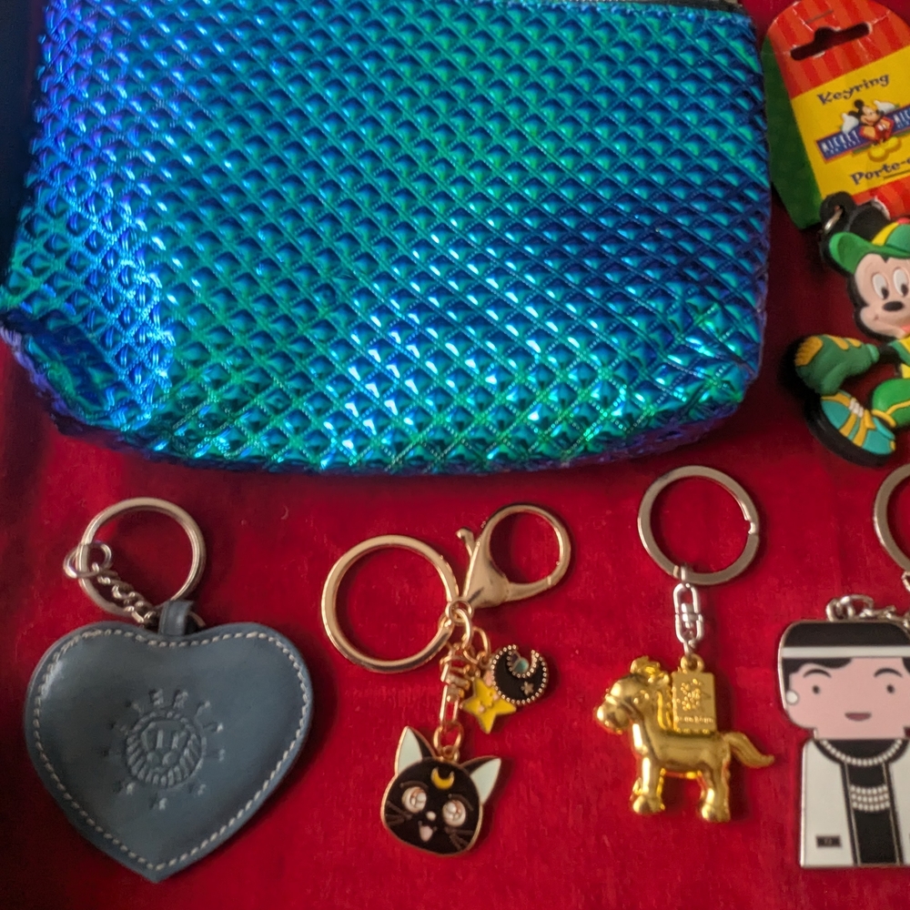 Bundle Of Keychains + Pouch - Picture 2 of 4